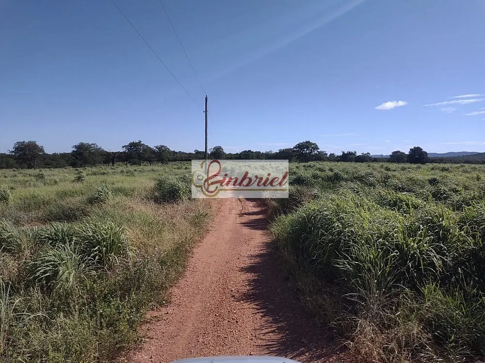 Fazenda, 470 hectares - Foto 5