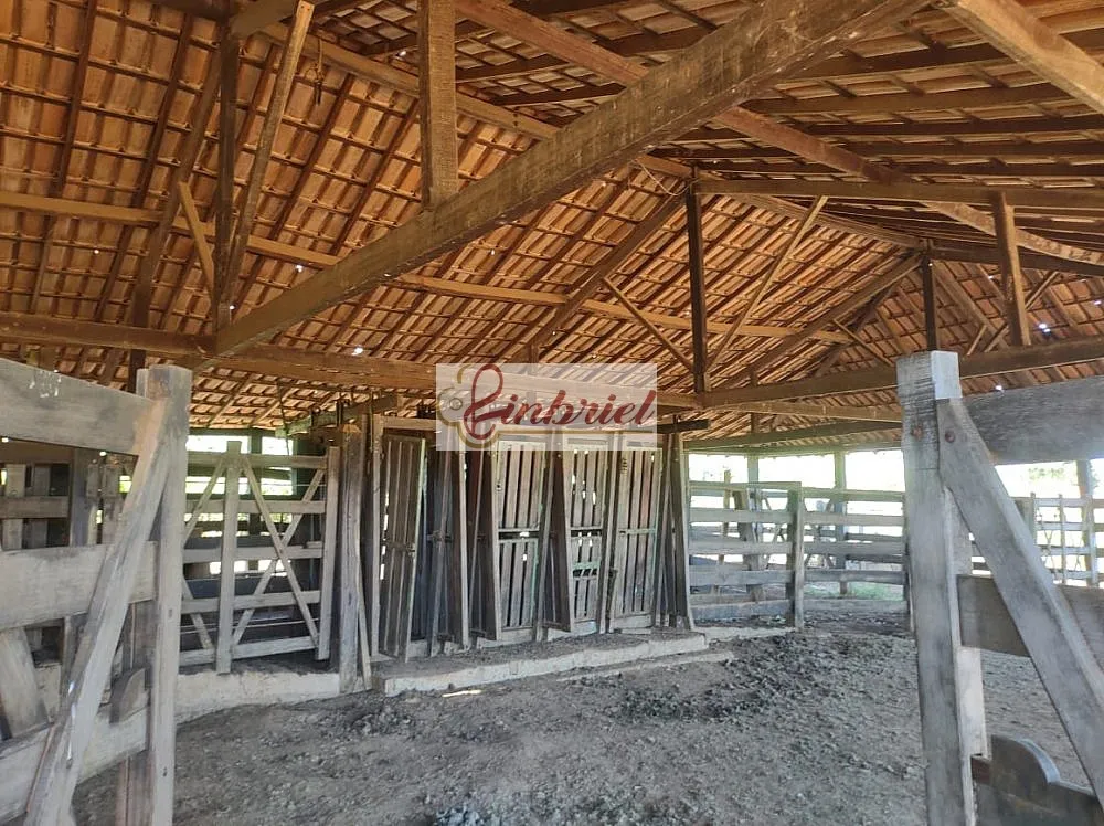Fazenda, 470 hectares - Foto 11