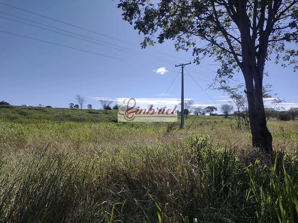 Fazenda, 470 hectares - Foto 6