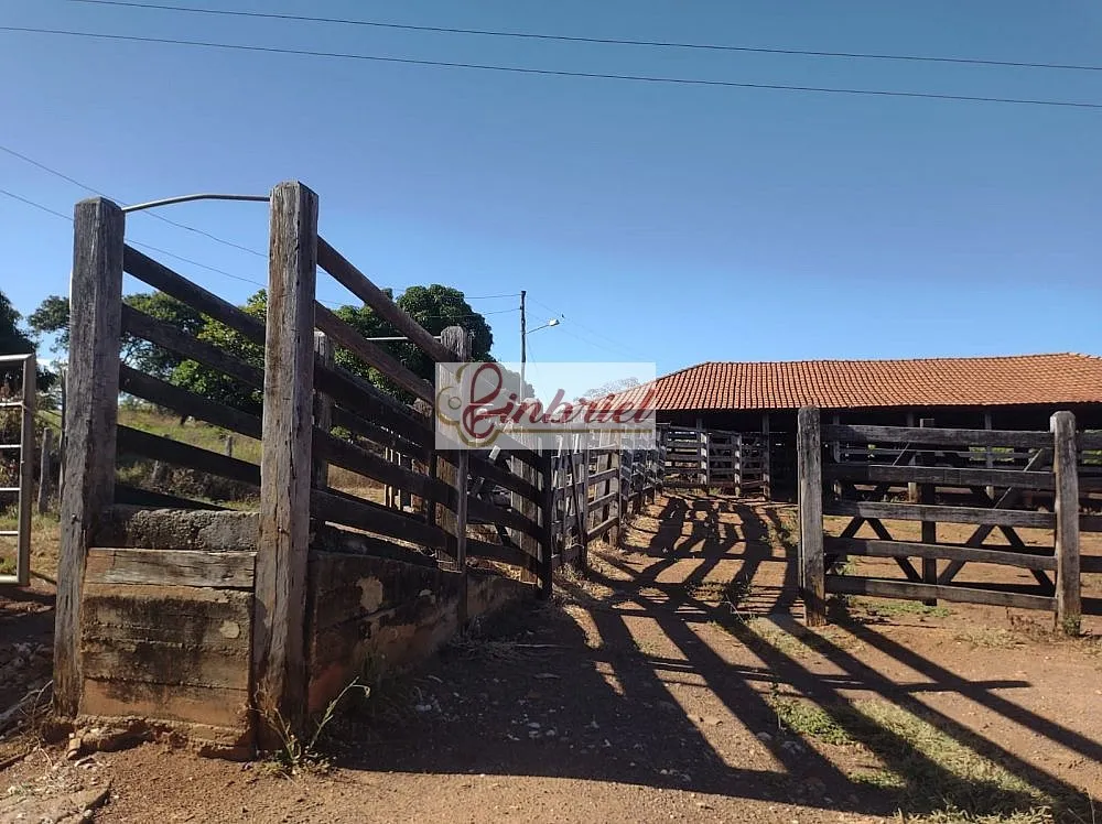 Fazenda, 470 hectares - Foto 1