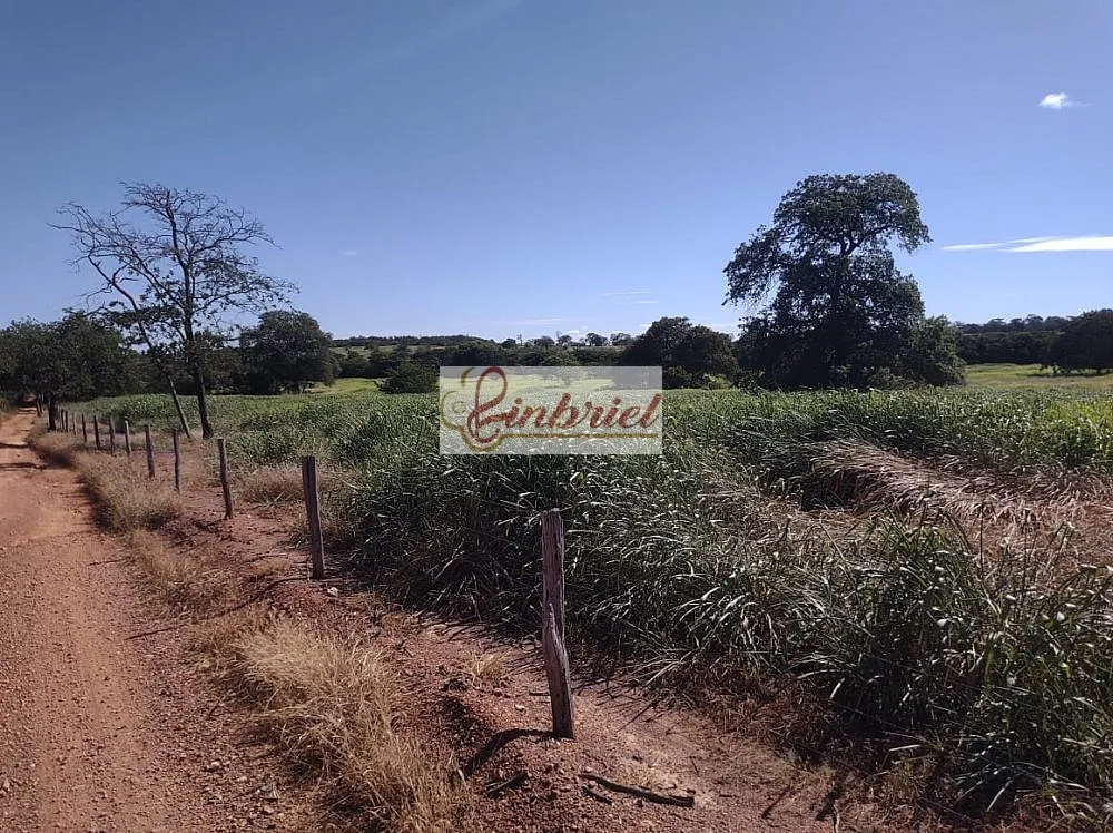 Fazenda, 470 hectares - Foto 16