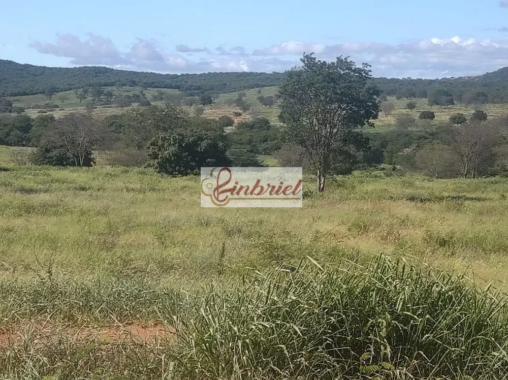 Fazenda, 470 hectares - Foto 8