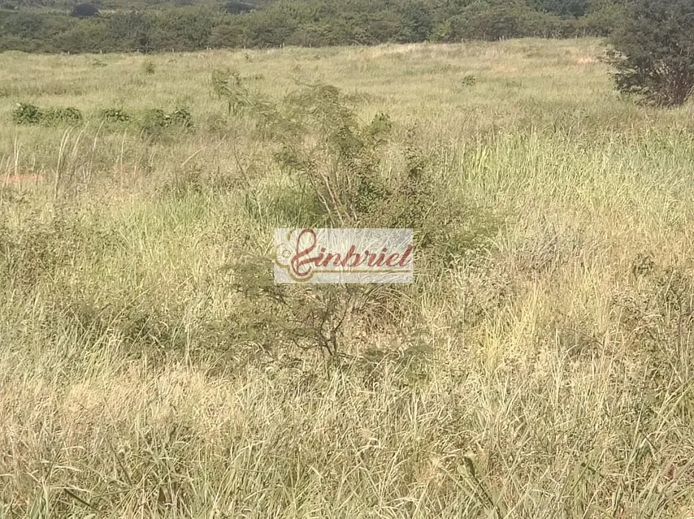 Fazenda, 470 hectares - Foto 15