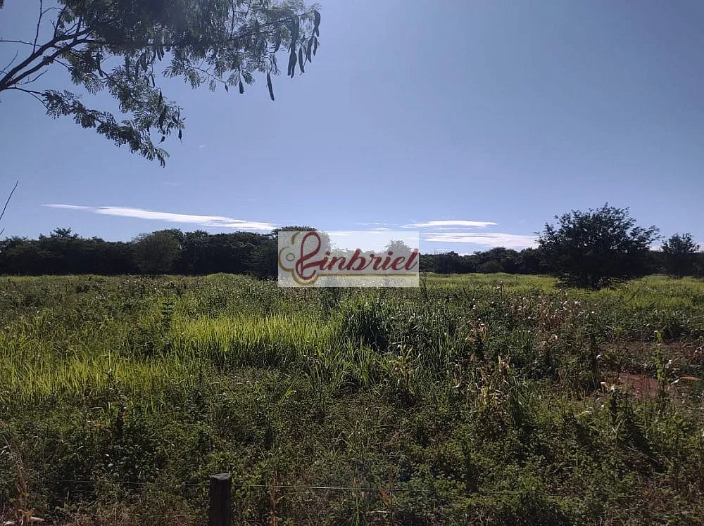 Fazenda, 470 hectares - Foto 14