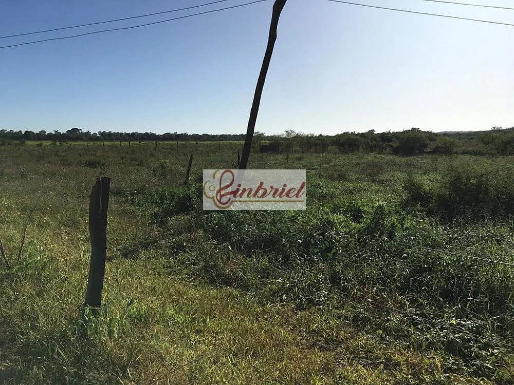 Fazenda, 4600 hectares - Foto 7