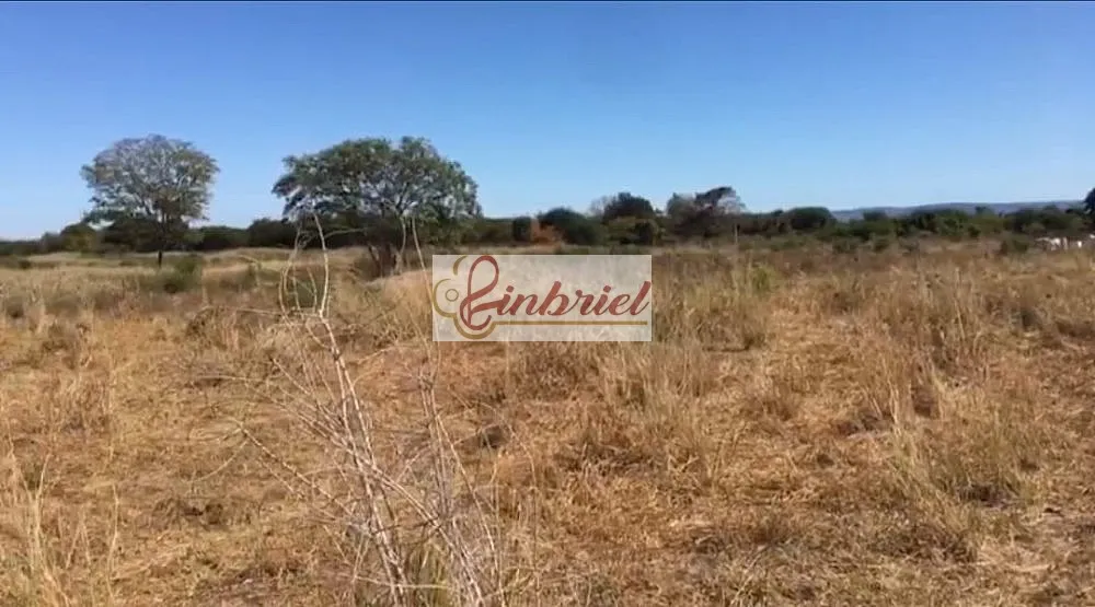 Fazenda, 4600 hectares - Foto 3