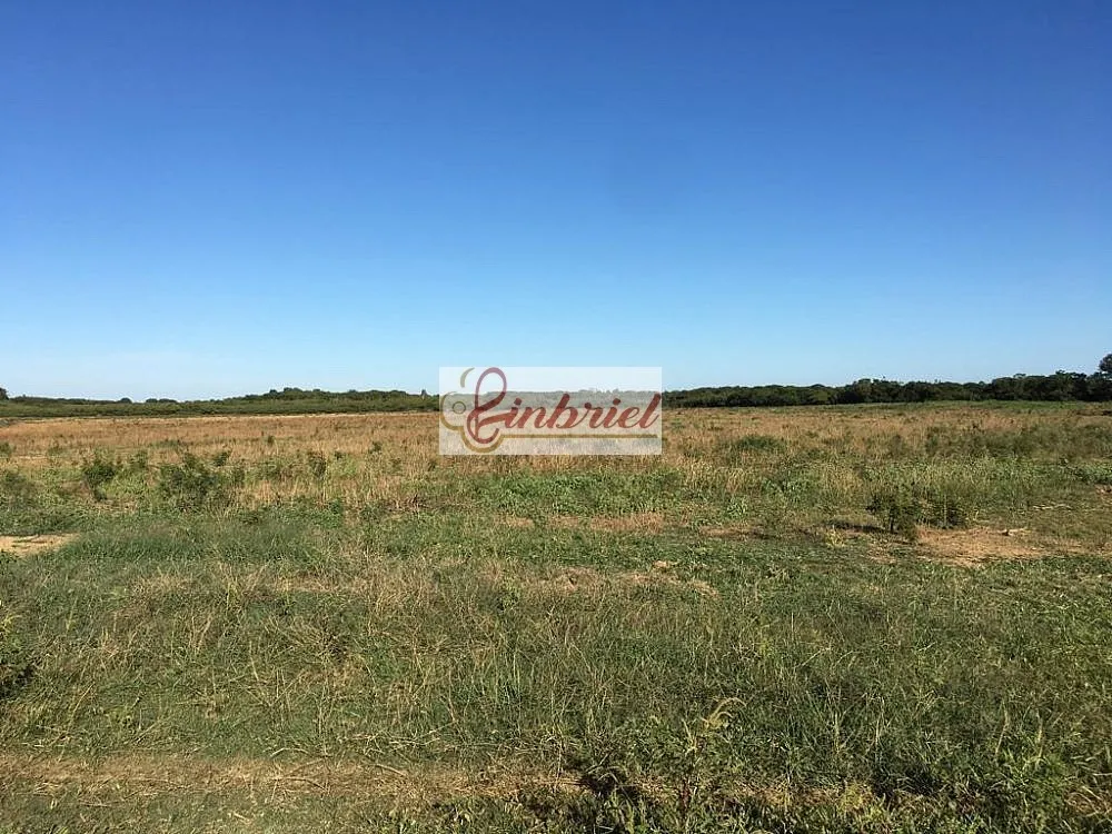 Fazenda, 4600 hectares - Foto 10