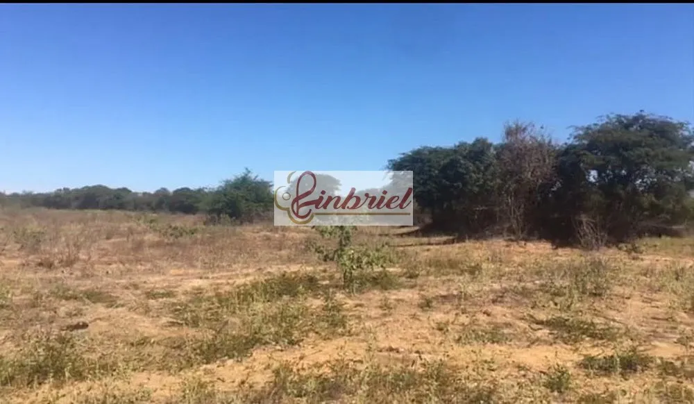 Fazenda, 4600 hectares - Foto 4