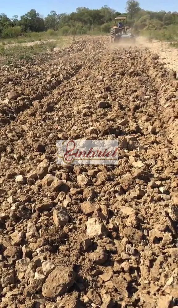 Fazenda, 4600 hectares - Foto 9