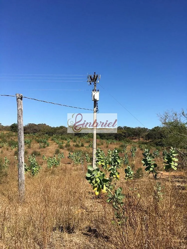 Fazenda, 4600 hectares - Foto 5