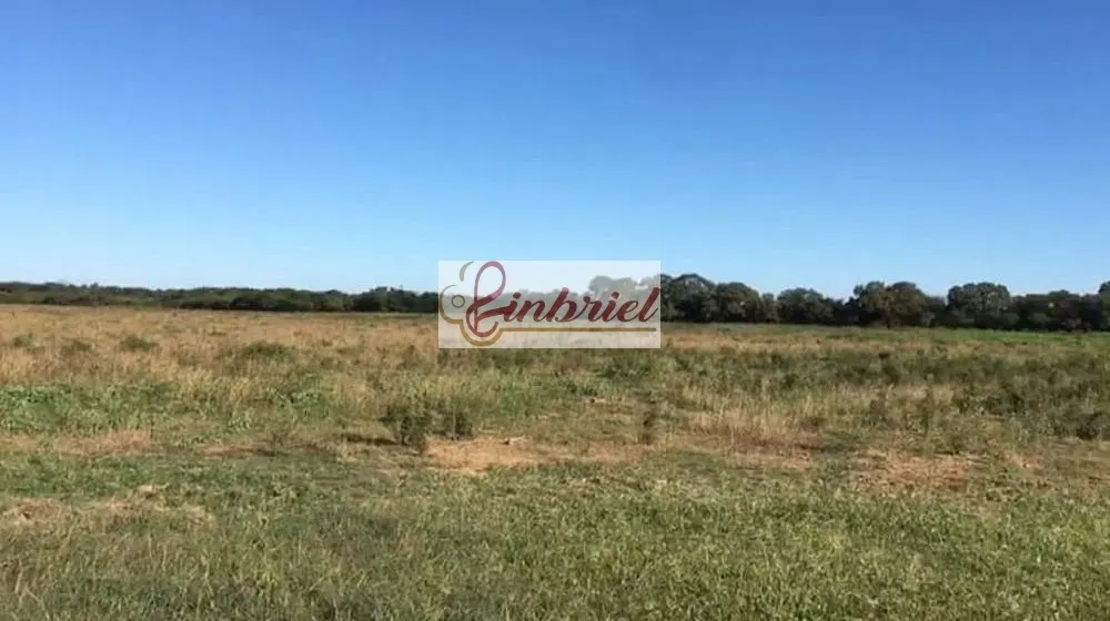 Fazenda, 4600 hectares - Foto 2