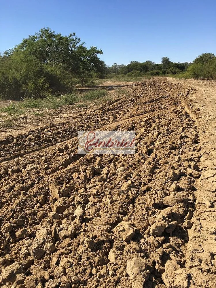 Fazenda, 4600 hectares - Foto 8
