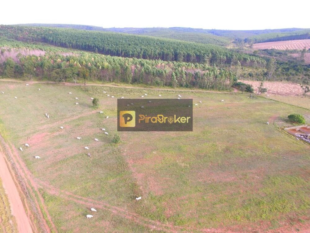 Fazenda, 44 hectares - Foto 4