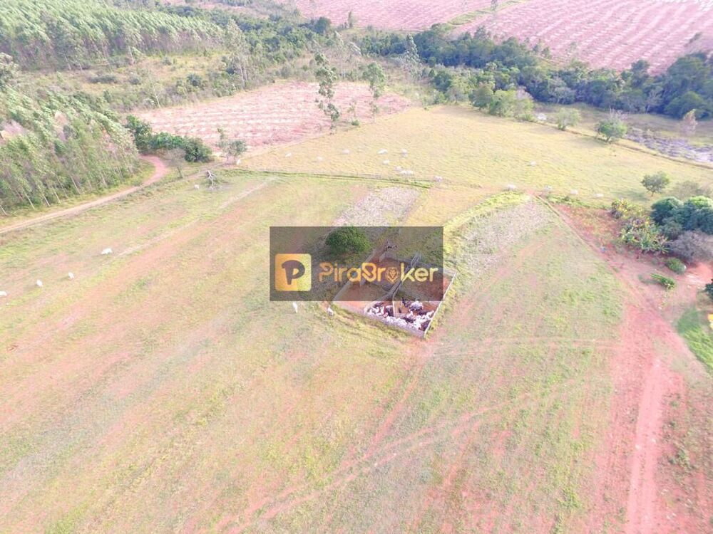 Fazenda, 44 hectares - Foto 2