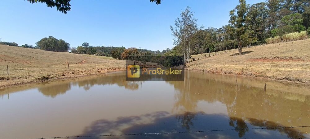 Fazenda, 53 hectares - Foto 2
