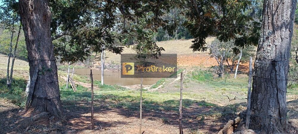 Fazenda, 53 hectares - Foto 4