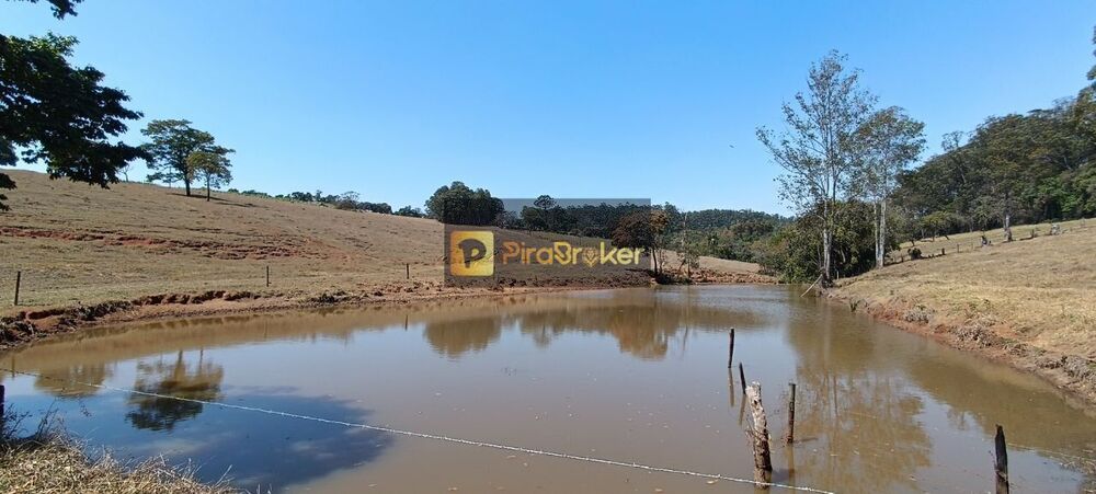 Fazenda, 53 hectares - Foto 1