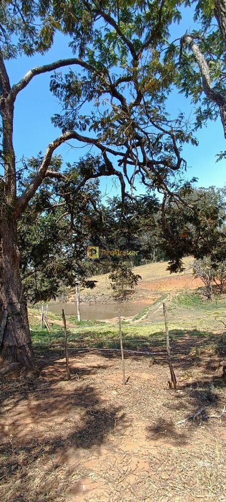 Fazenda, 53 hectares - Foto 3