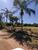 Terreno, 2902 m² - Foto 6