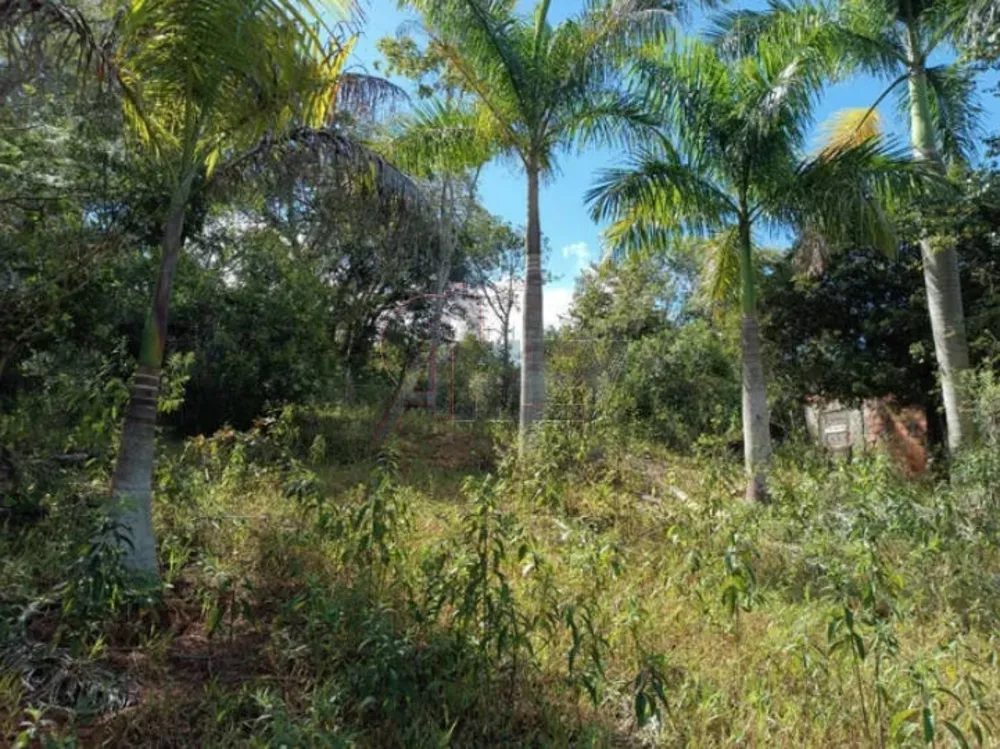 Terreno - Foto 6