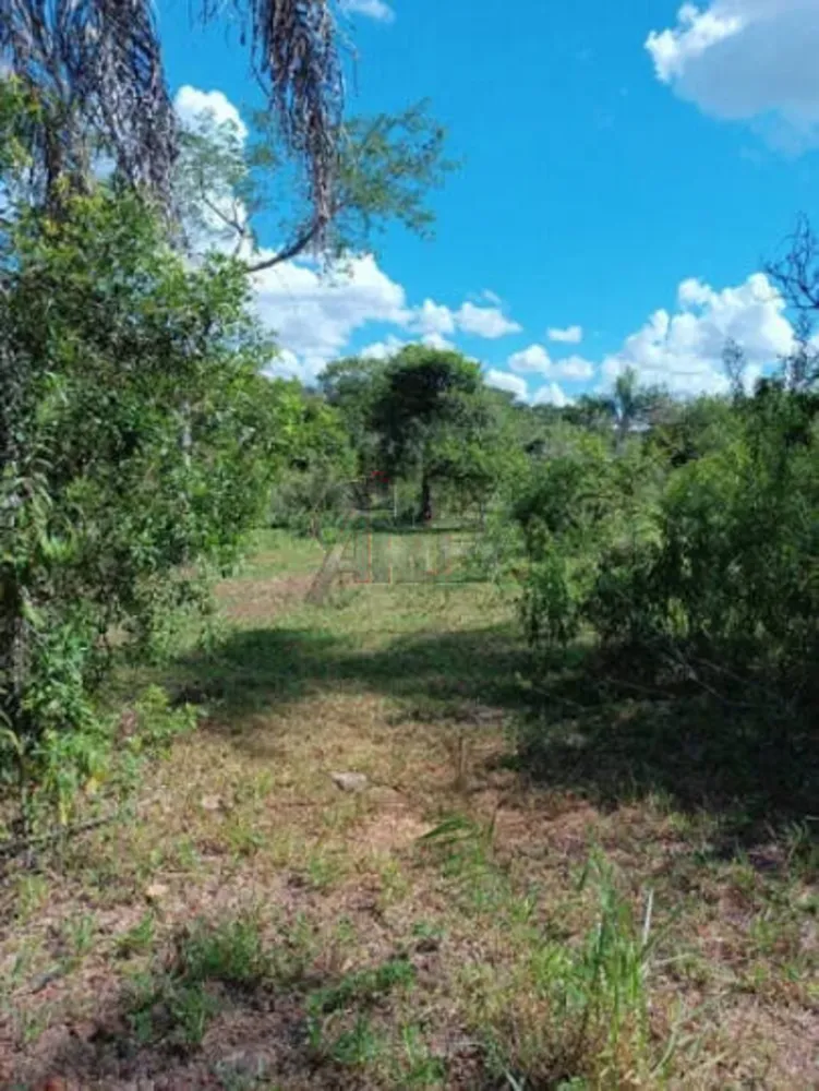 Terreno - Foto 7