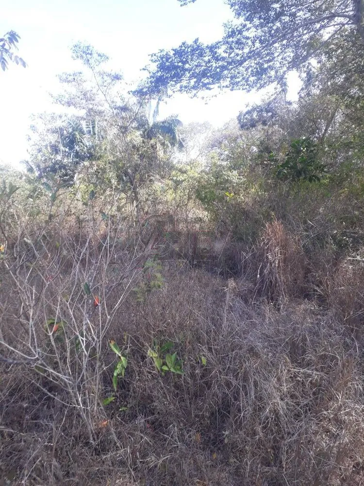 Terreno - Foto 5
