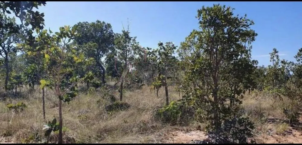 Terreno - Foto 9