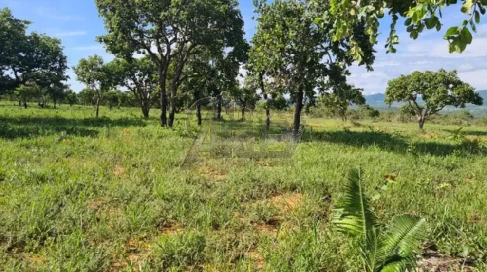 Terreno à venda - Foto 4