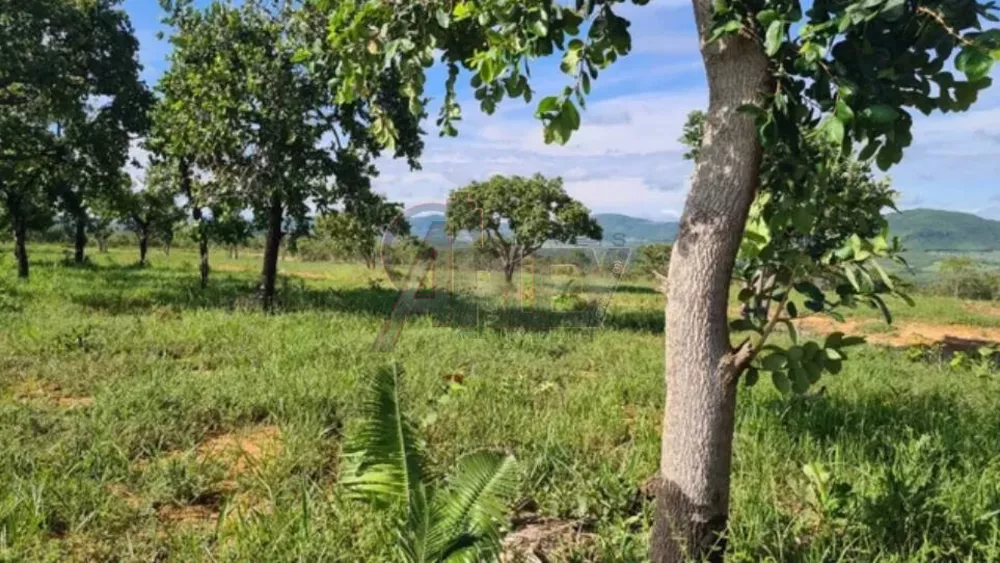 Terreno à venda - Foto 2