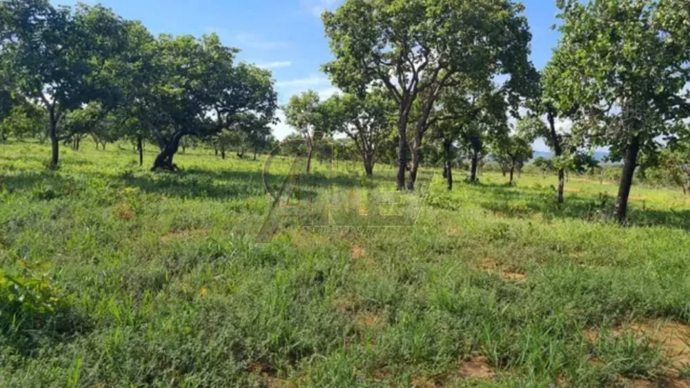 Terreno à venda - Foto 1