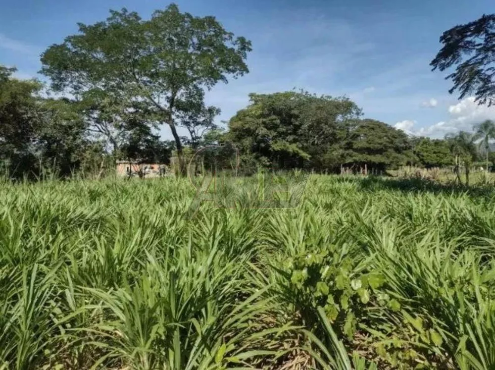 Terreno à venda - Foto 1