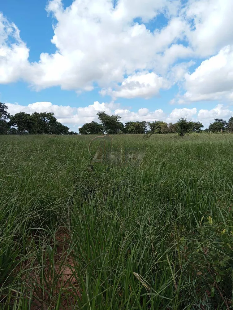 Terreno à venda - Foto 1