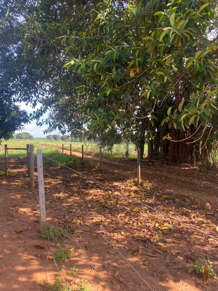 Fazenda à venda com 3 quartos - Foto 3