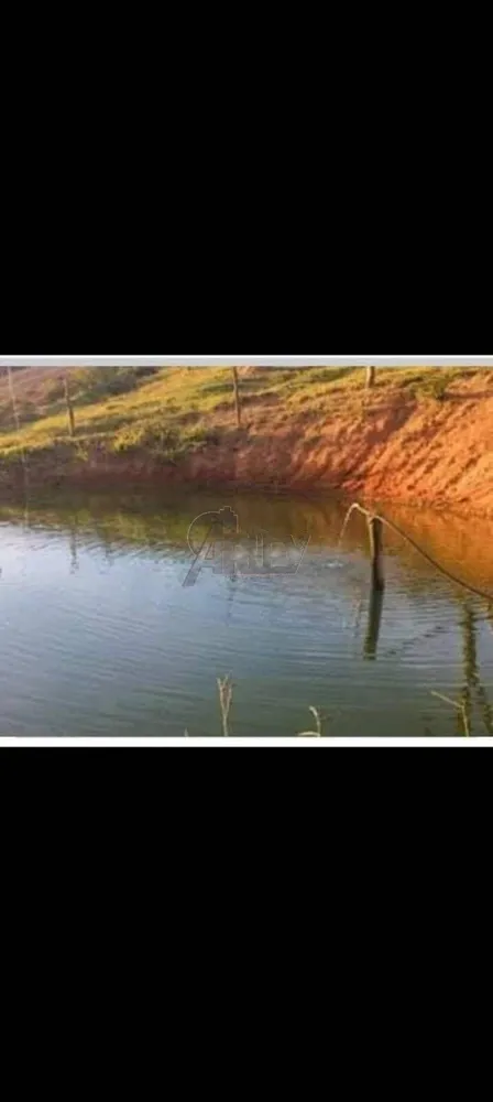 Terreno - Foto 7