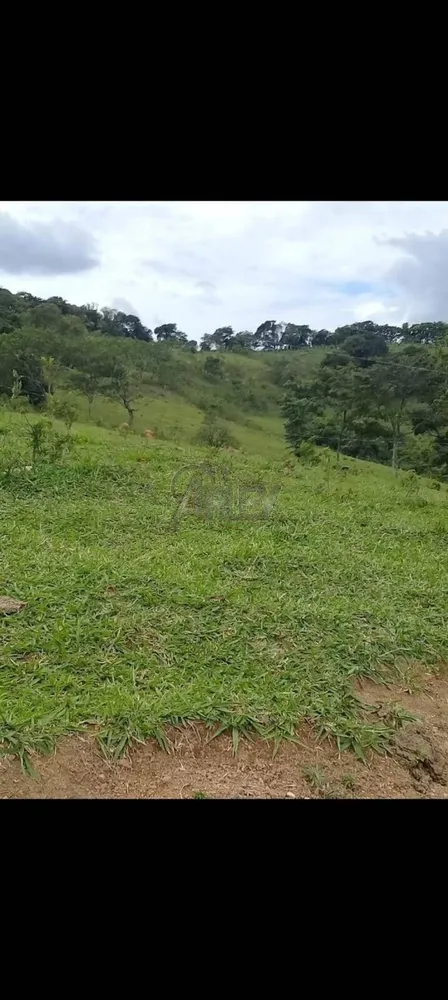 Terreno - Foto 6