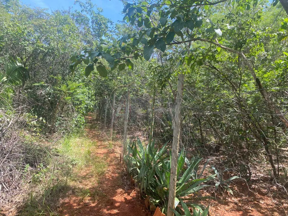 Terreno - Foto 10