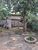 Casa, 4 quartos - Foto 2