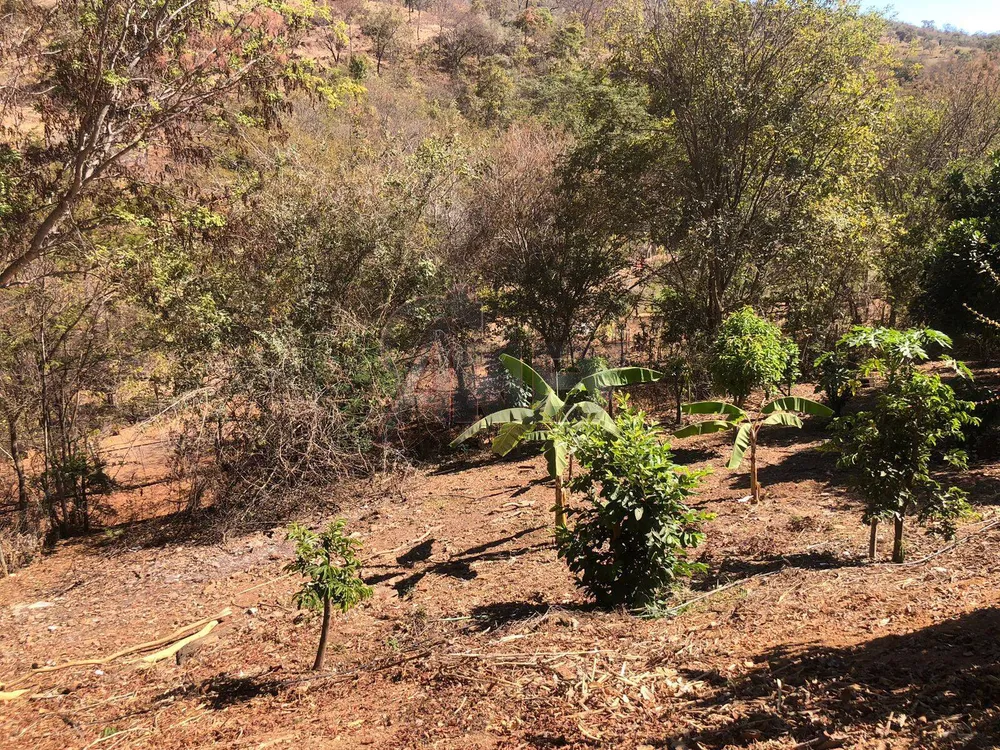 Chácara, 1 quarto, 2 hectares - Foto 12