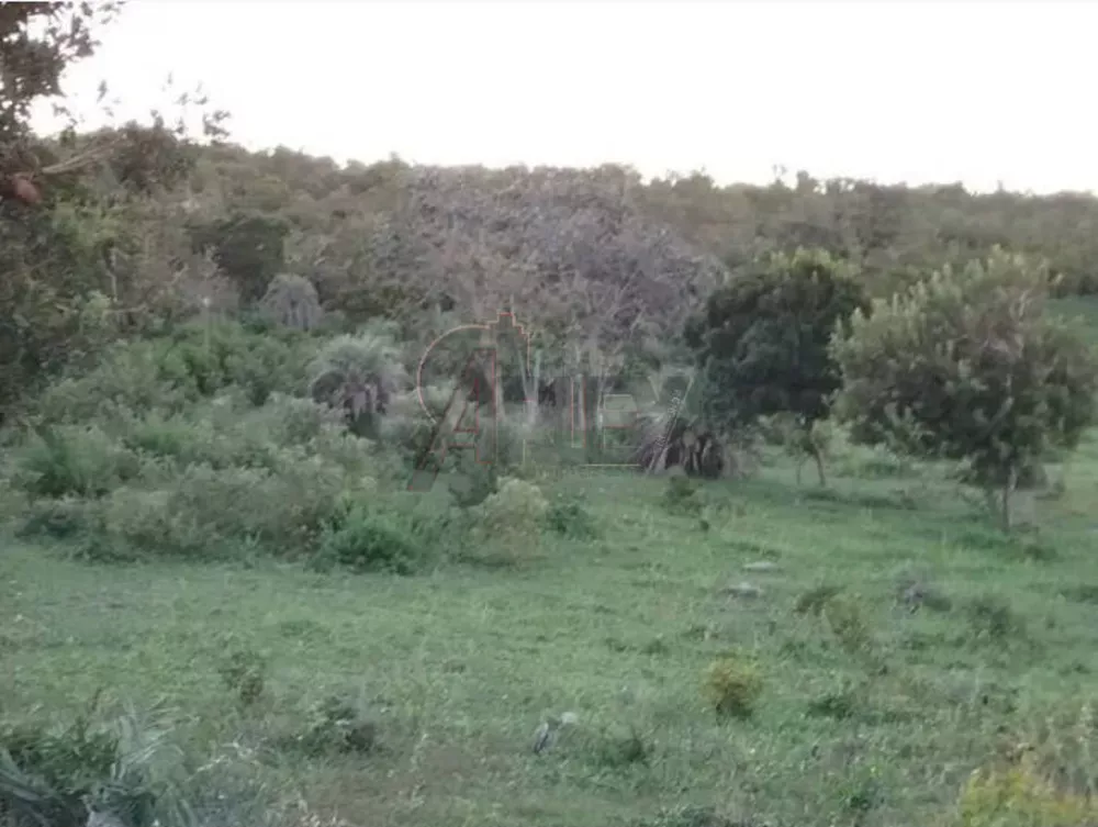 Terreno à venda - Foto 3