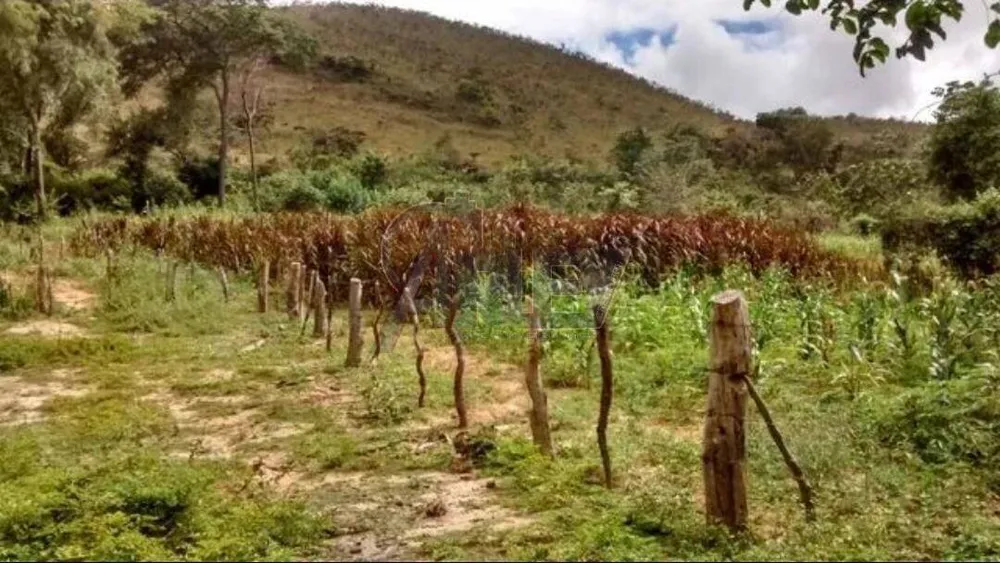 Terreno - Foto 1