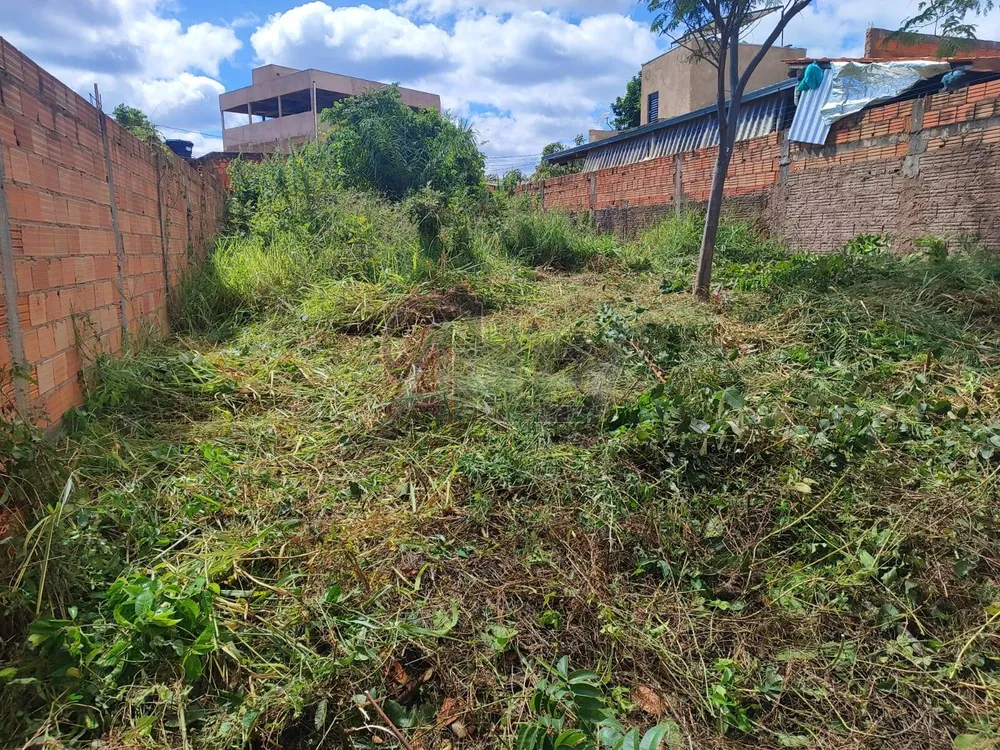 Terreno, 300 m² - Foto 3