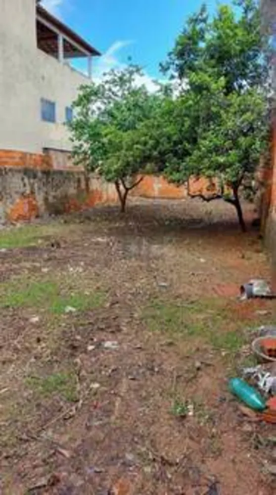 Terreno, 300 m² - Foto 3