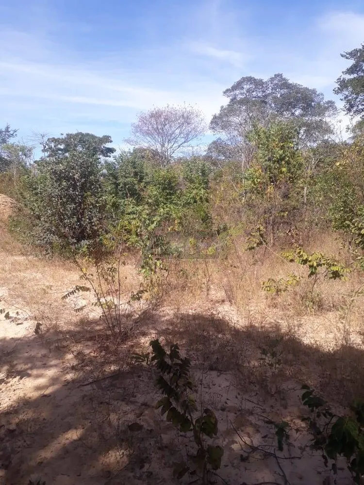 Fazenda, 4 quartos - Foto 10