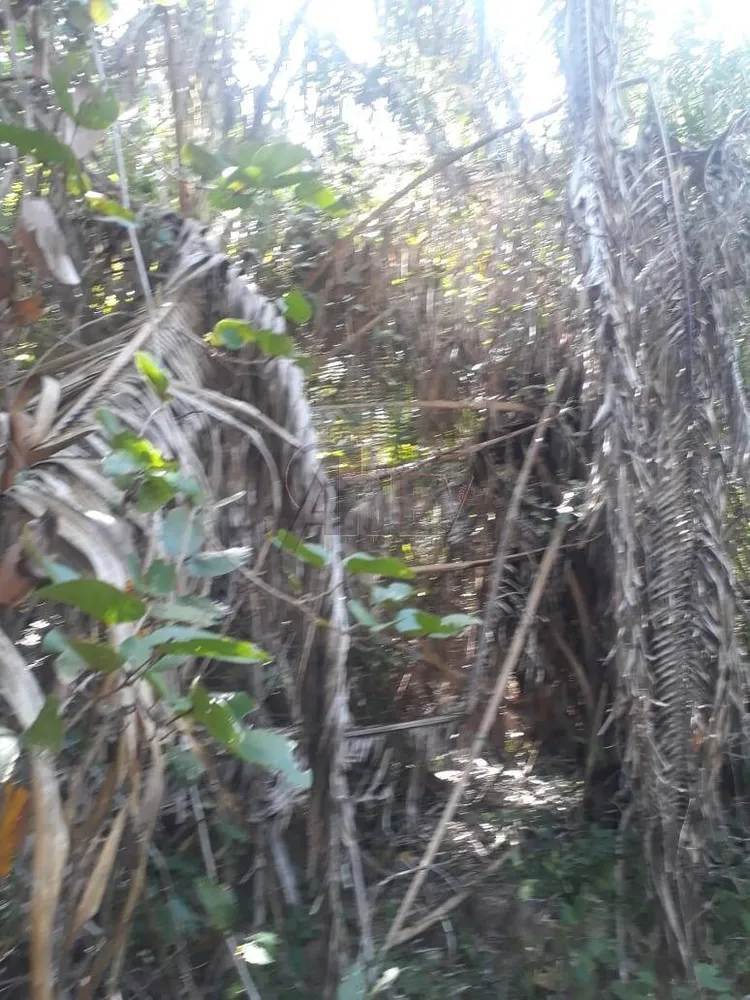 Fazenda, 4 quartos - Foto 5