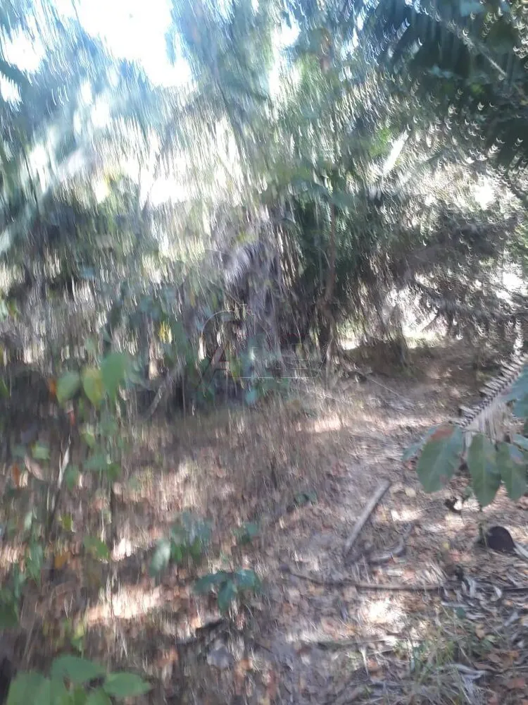 Fazenda, 4 quartos - Foto 7