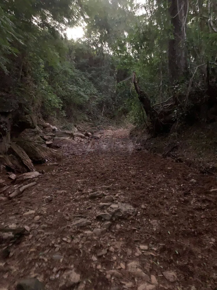 Terreno - Foto 9