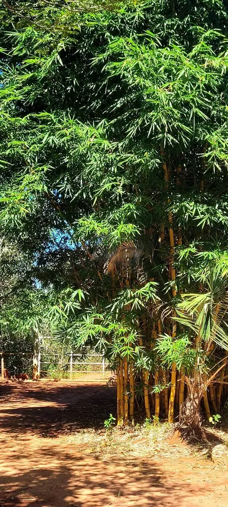 Terreno - Foto 2