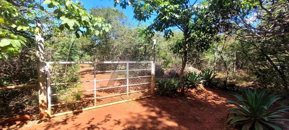 Terreno - Foto 3