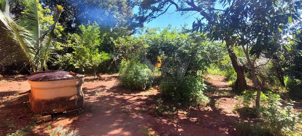 Terreno - Foto 4