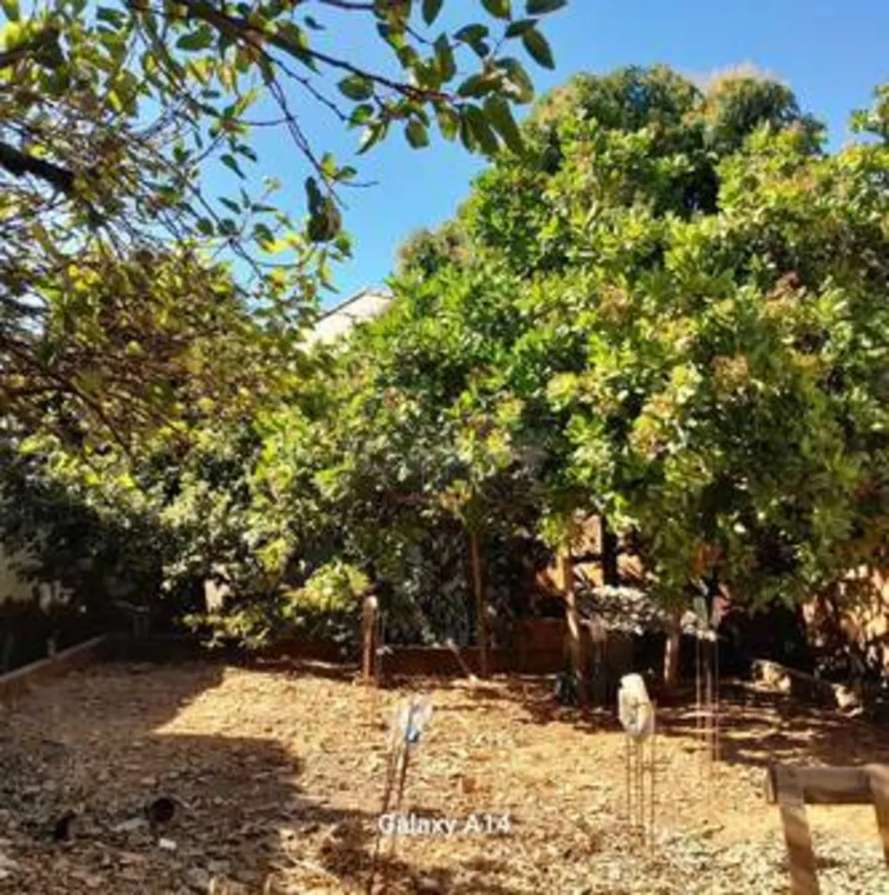 Terreno, 249 m² - Foto 3